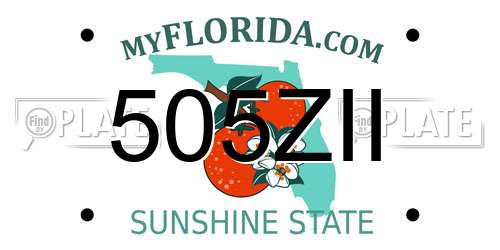 505ZII Florida License Plate