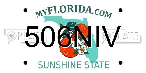 506NIV Florida License Plate
