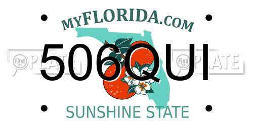 506QUI Florida License Plate