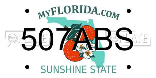 507ABS Florida License Plate