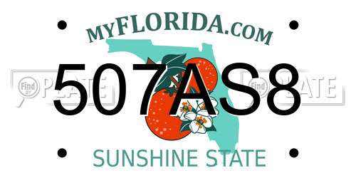 507AS8 Florida License Plate