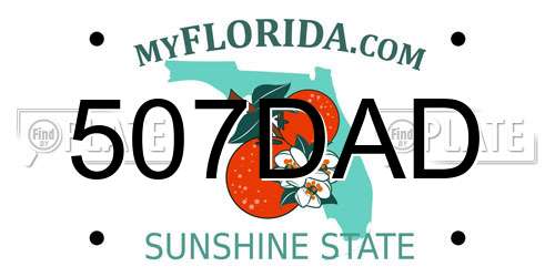 507DAD Florida License Plate