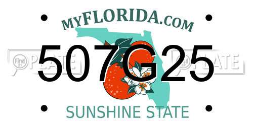 507G25 Florida License Plate