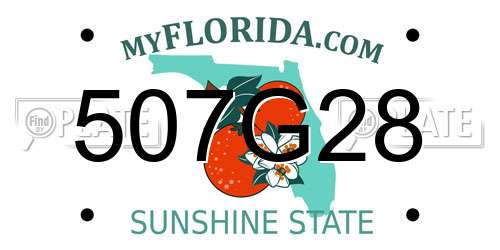 507G28 Florida License Plate