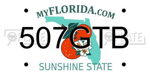 507GTB Florida License Plate
