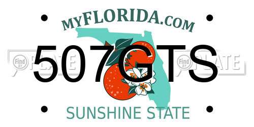 507GTS Florida License Plate