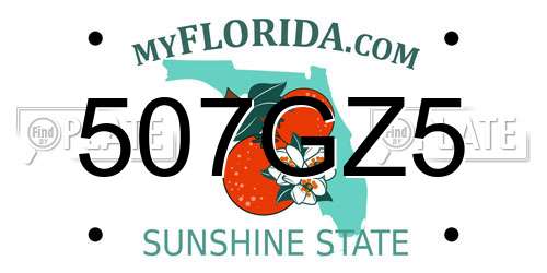 507GZ5 Florida License Plate