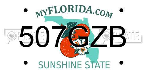507GZB Florida License Plate