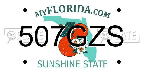 507GZS Florida License Plate