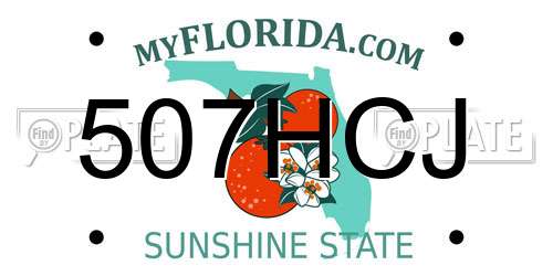507HCJ Florida License Plate