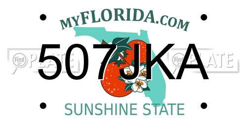 507JKA Florida License Plate