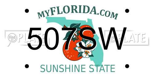 507SW Florida License Plate