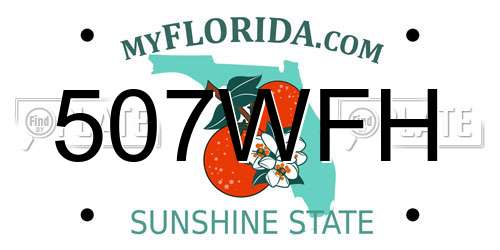 507WFH Florida License Plate