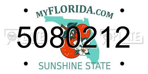 5080212 Florida License Plate