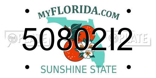 50802I2 Florida License Plate