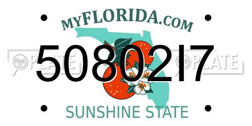 50802I7 Florida License Plate