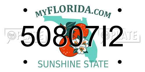 50807I2 Florida License Plate