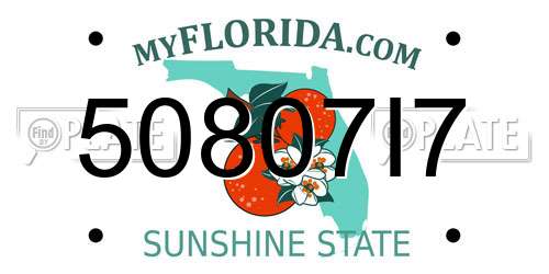 50807I7 Florida License Plate