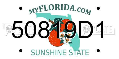 50819D1 Florida License Plate