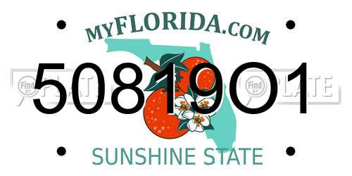 50819O1 Florida License Plate