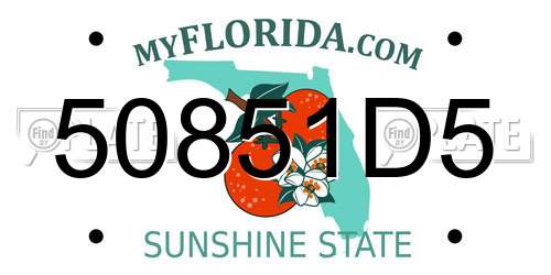 50851D5 Florida License Plate
