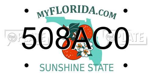 508AC0 Florida License Plate