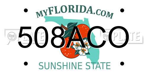 508ACO Florida License Plate