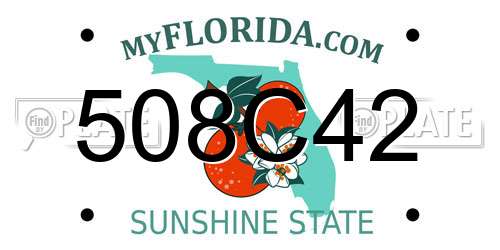 508C42 Florida License Plate