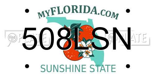 508LSN Florida License Plate