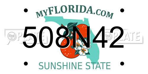 508N42 Florida License Plate