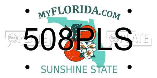 508PLS Florida License Plate