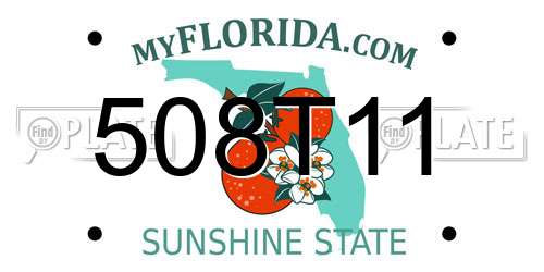 508T11 Florida License Plate
