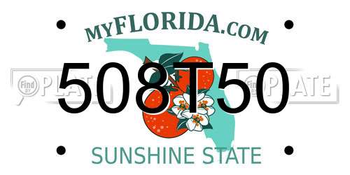 508T50 Florida License Plate