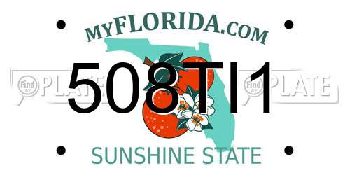 508TI1 Florida License Plate