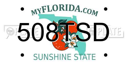 508TSD Florida License Plate