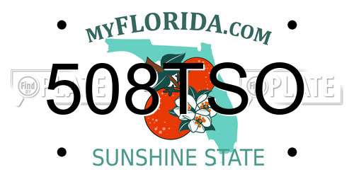 508TSO Florida License Plate