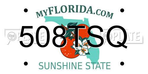 508TSQ Florida License Plate