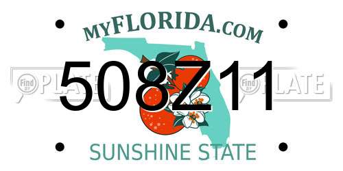 508Z11 Florida License Plate