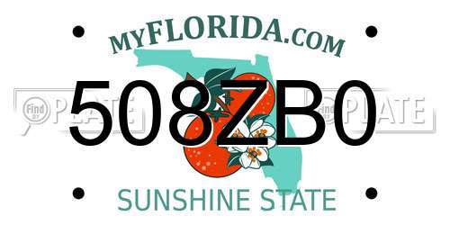 508ZB0 Florida License Plate