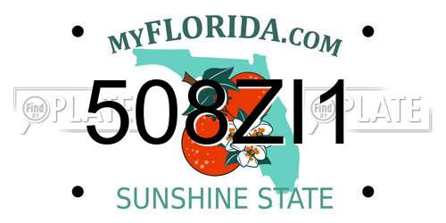 508ZI1 Florida License Plate