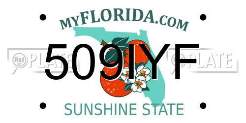 509IYF Florida License Plate