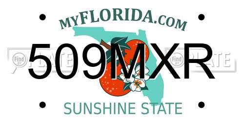 509MXR Florida License Plate