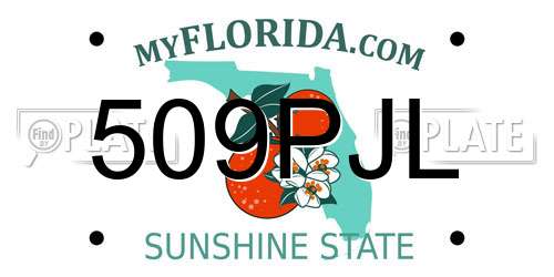 509PJL Florida License Plate