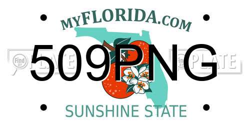 509PNG Florida License Plate
