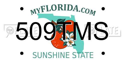 509TMS Florida License Plate