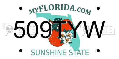 509TYW Florida License Plate