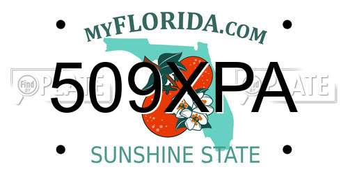 509XPA Florida License Plate