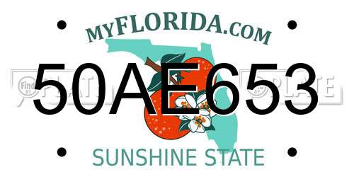 50AE653 Florida License Plate