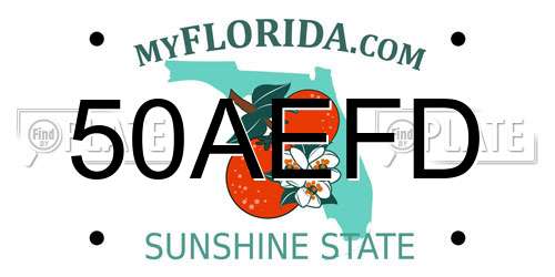 50AEFD Florida License Plate