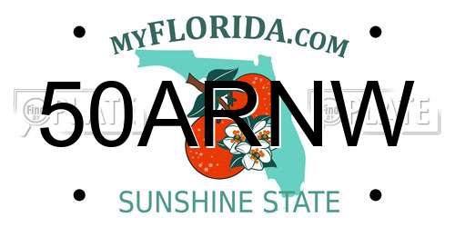 50ARNW Florida License Plate